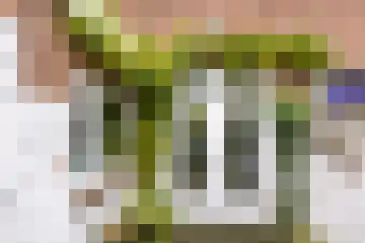Maasstraat 3 Nijmegen thumbnail 20