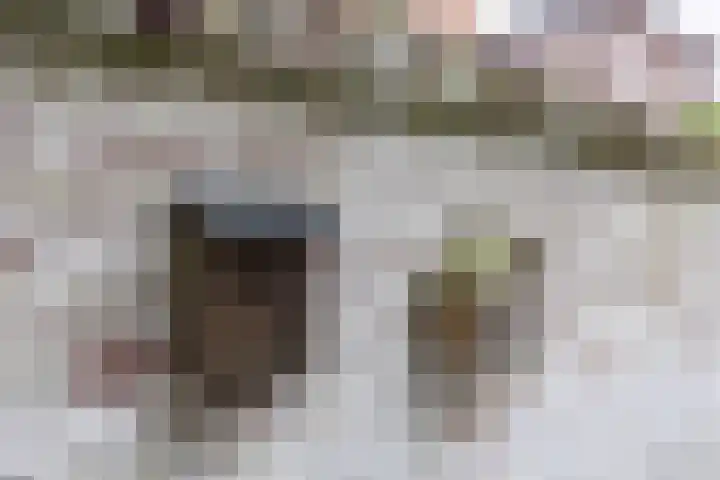 Maasstraat 3 Nijmegen thumbnail 21