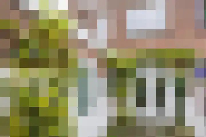 Maasstraat 3 Nijmegen thumbnail 22
