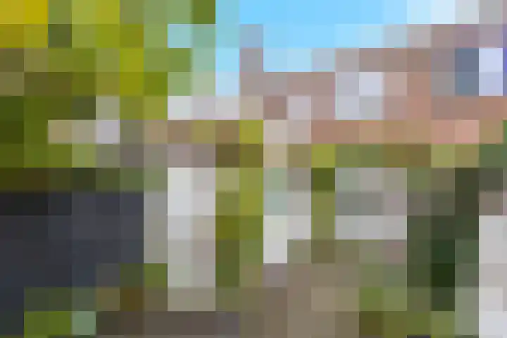 Maasstraat 3 Nijmegen thumbnail 23