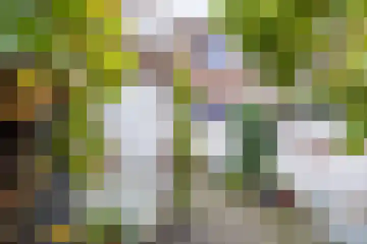 Maasstraat 3 Nijmegen thumbnail 27