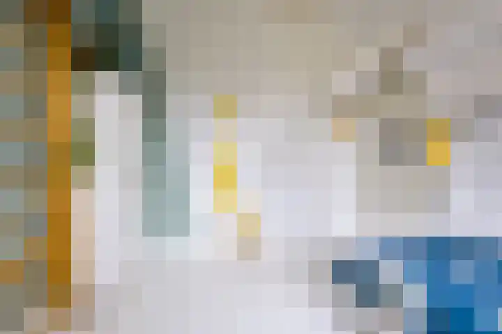 Maasstraat 3 Nijmegen thumbnail 37