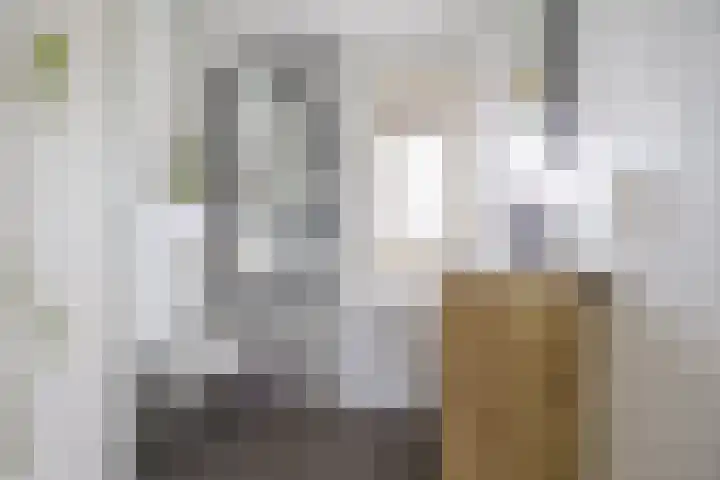 Maasstraat 3 Nijmegen thumbnail 38