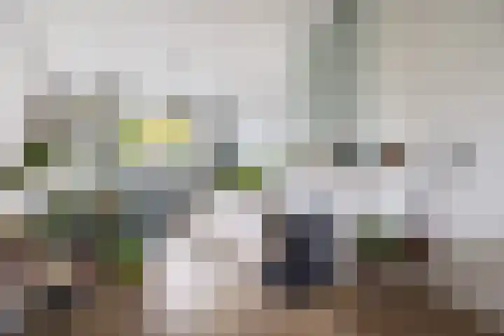 Maasstraat 3 Nijmegen thumbnail 8