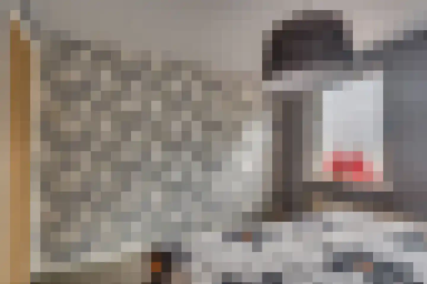 Maasstraat 3 Reuver thumbnail 23