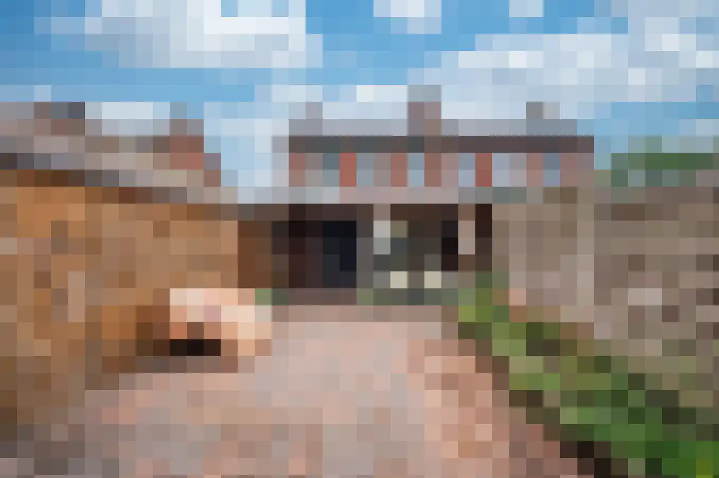 Maasstraat 3 Reuver thumbnail 38