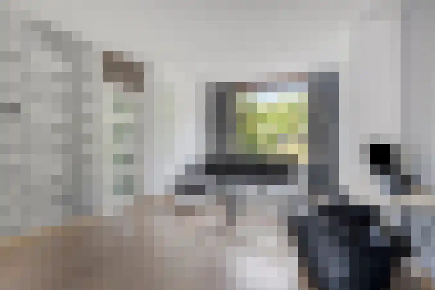 Maasstraat 3 Rozenburg thumbnail 5