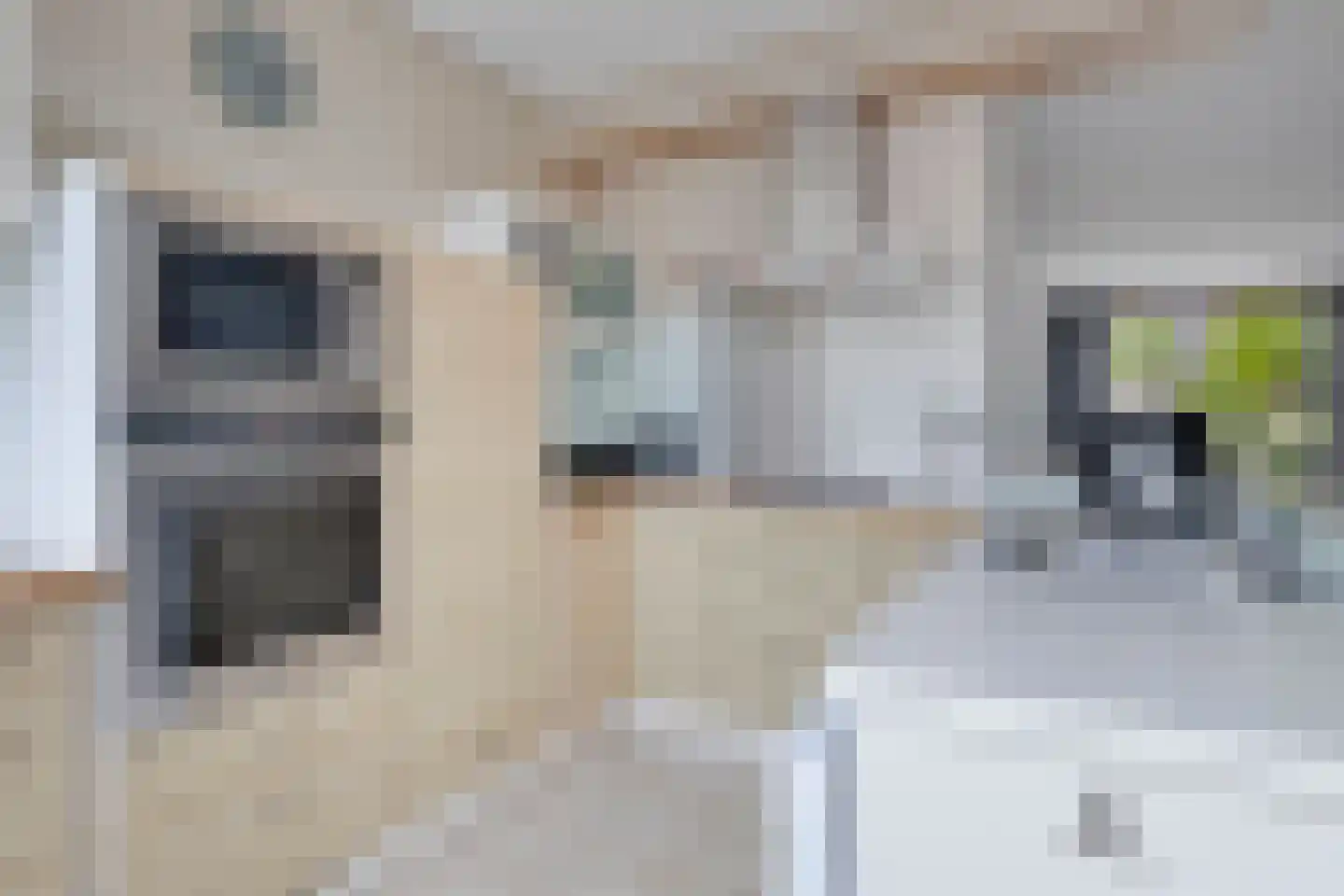 Maasstraat 3 Rozenburg thumbnail 9