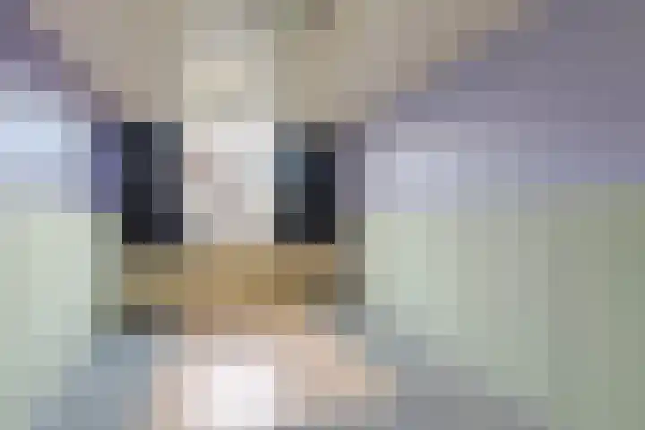 Maasstraat 3 Schiedam thumbnail 4