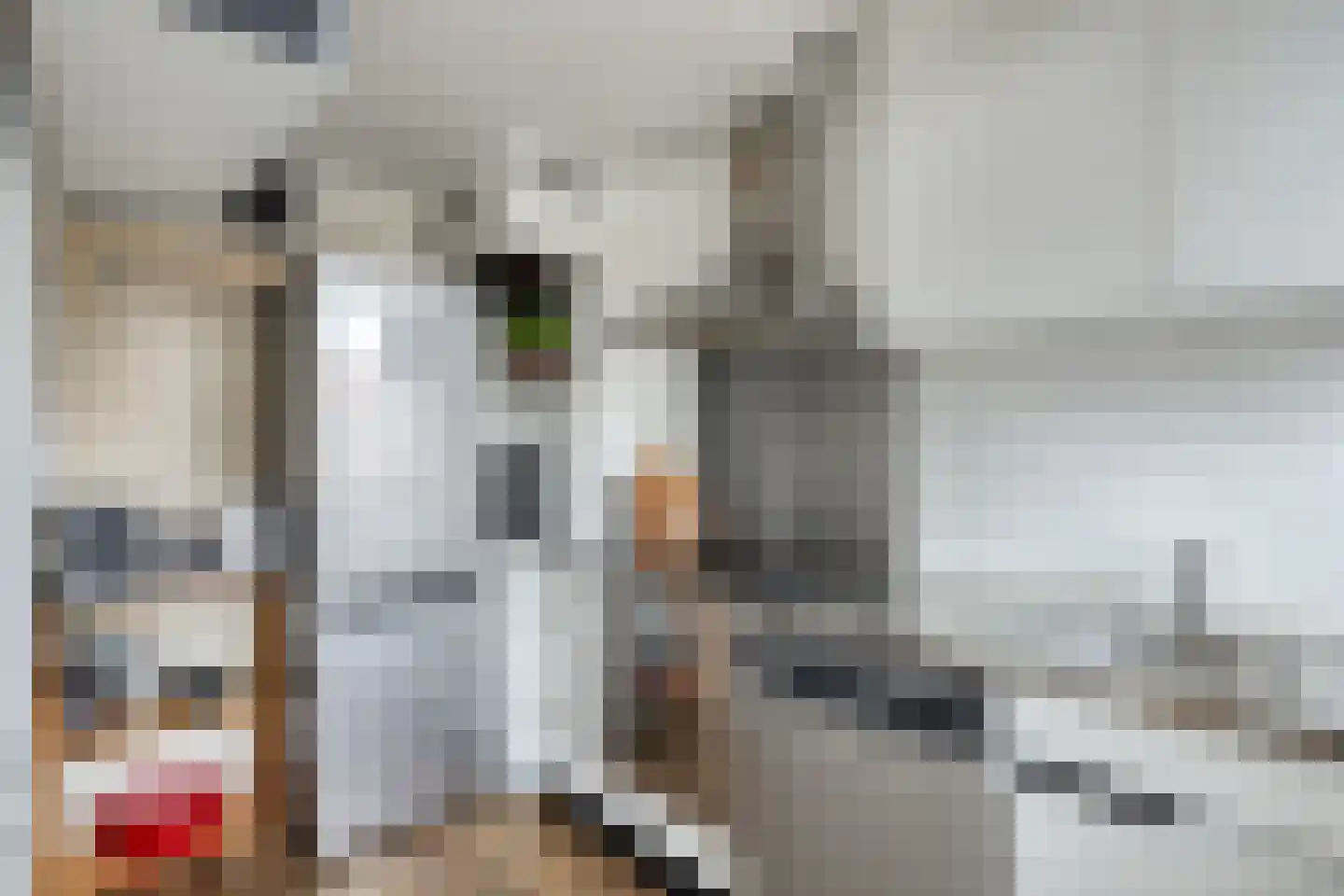 Maasstraat 30 Purmerend thumbnail 12