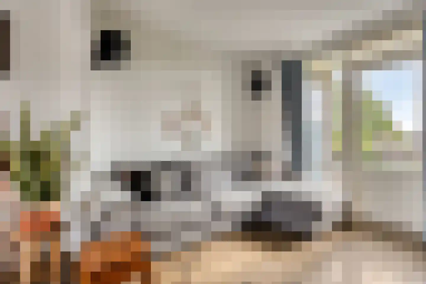 Maasstraat 30 Purmerend thumbnail 7