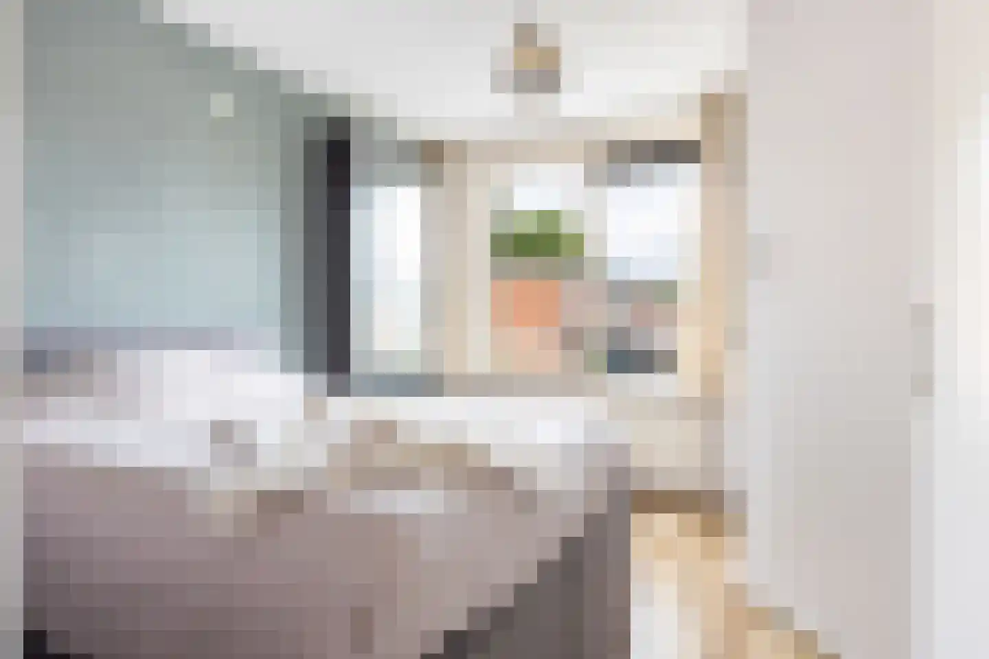 Maasstraat 31 Apeldoorn thumbnail 23