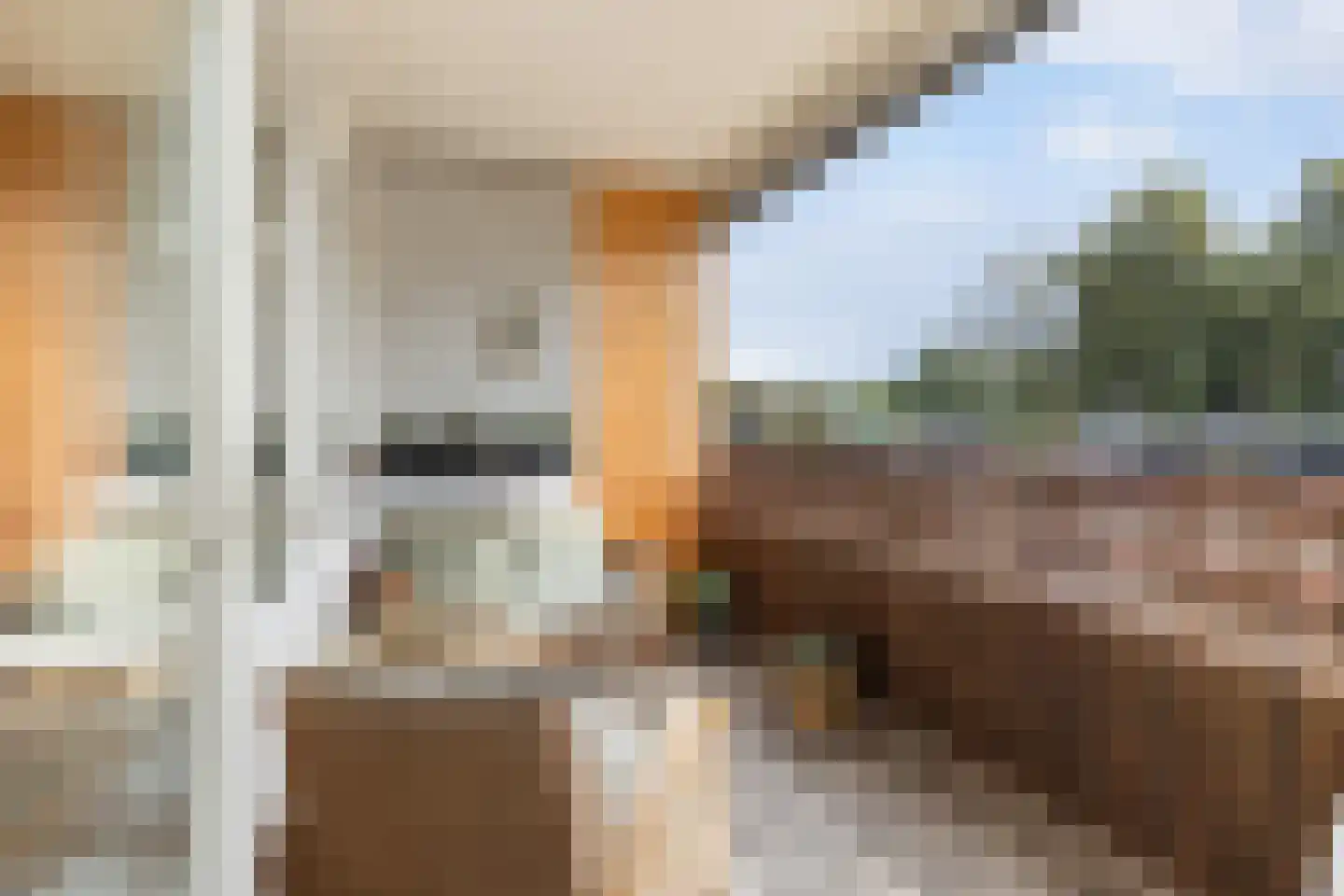 Maasstraat 31 Apeldoorn thumbnail 7
