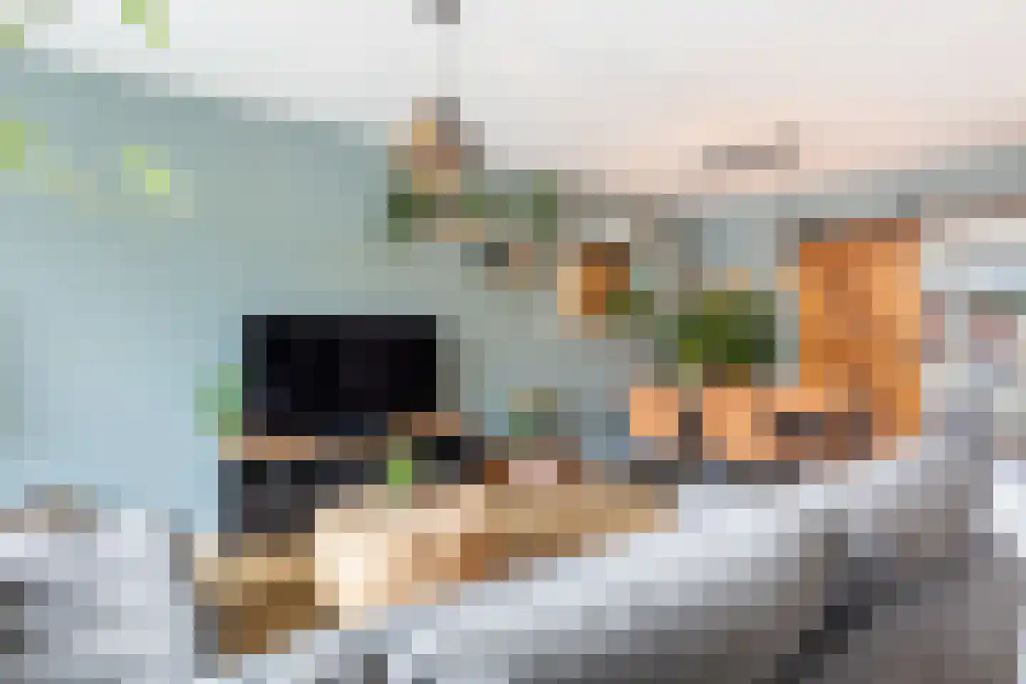 Maasstraat 31 Apeldoorn thumbnail 9