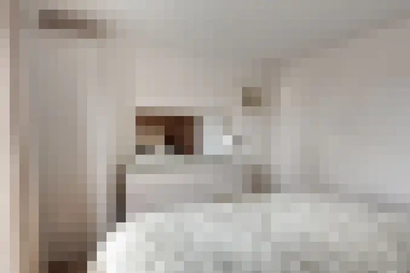Maasstraat 33 Purmerend thumbnail 12
