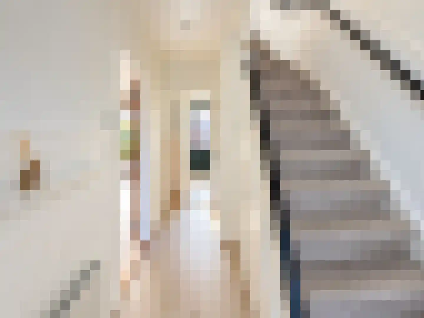 Maasstraat 33 Purmerend thumbnail 5