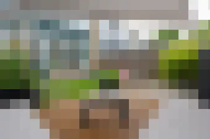 Maasstraat 36 Assen thumbnail 29