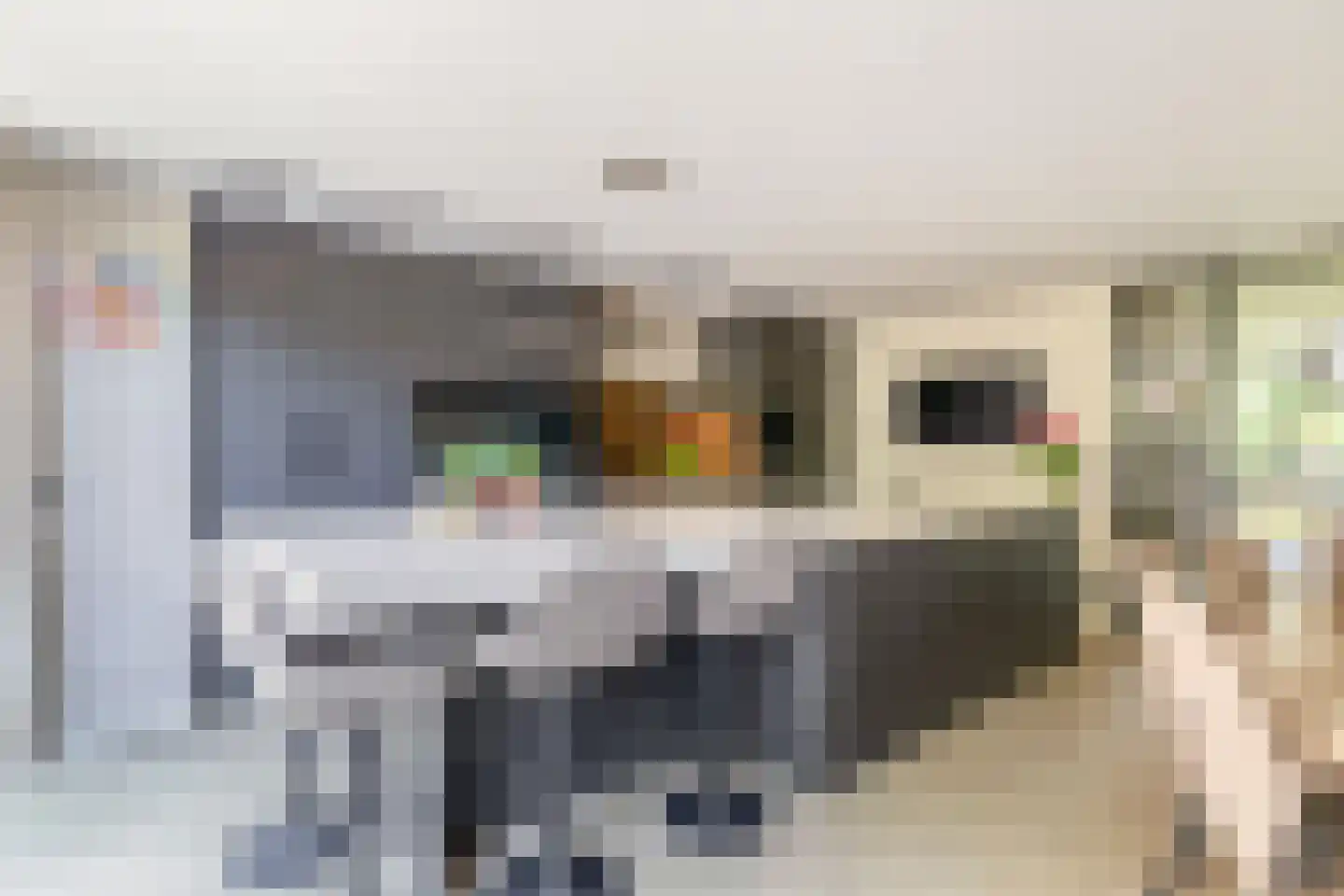 Maasstraat 36 Eindhoven thumbnail 15