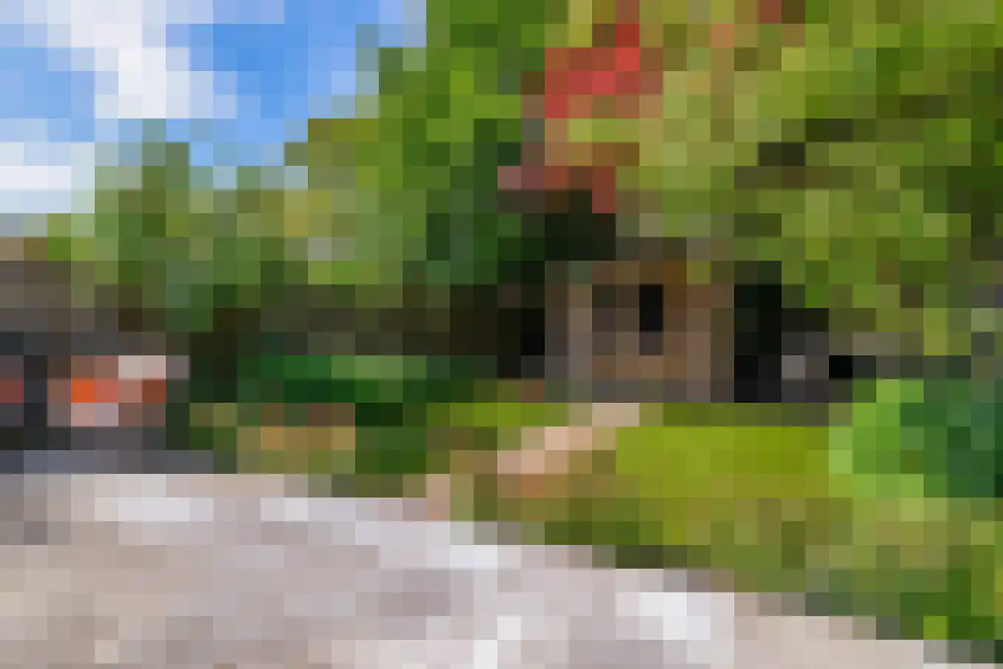 Maasstraat 36 Eindhoven thumbnail 35
