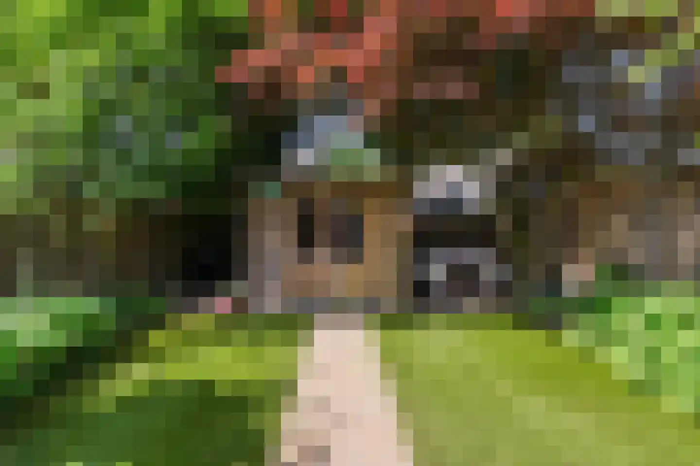 Maasstraat 36 Eindhoven thumbnail 36