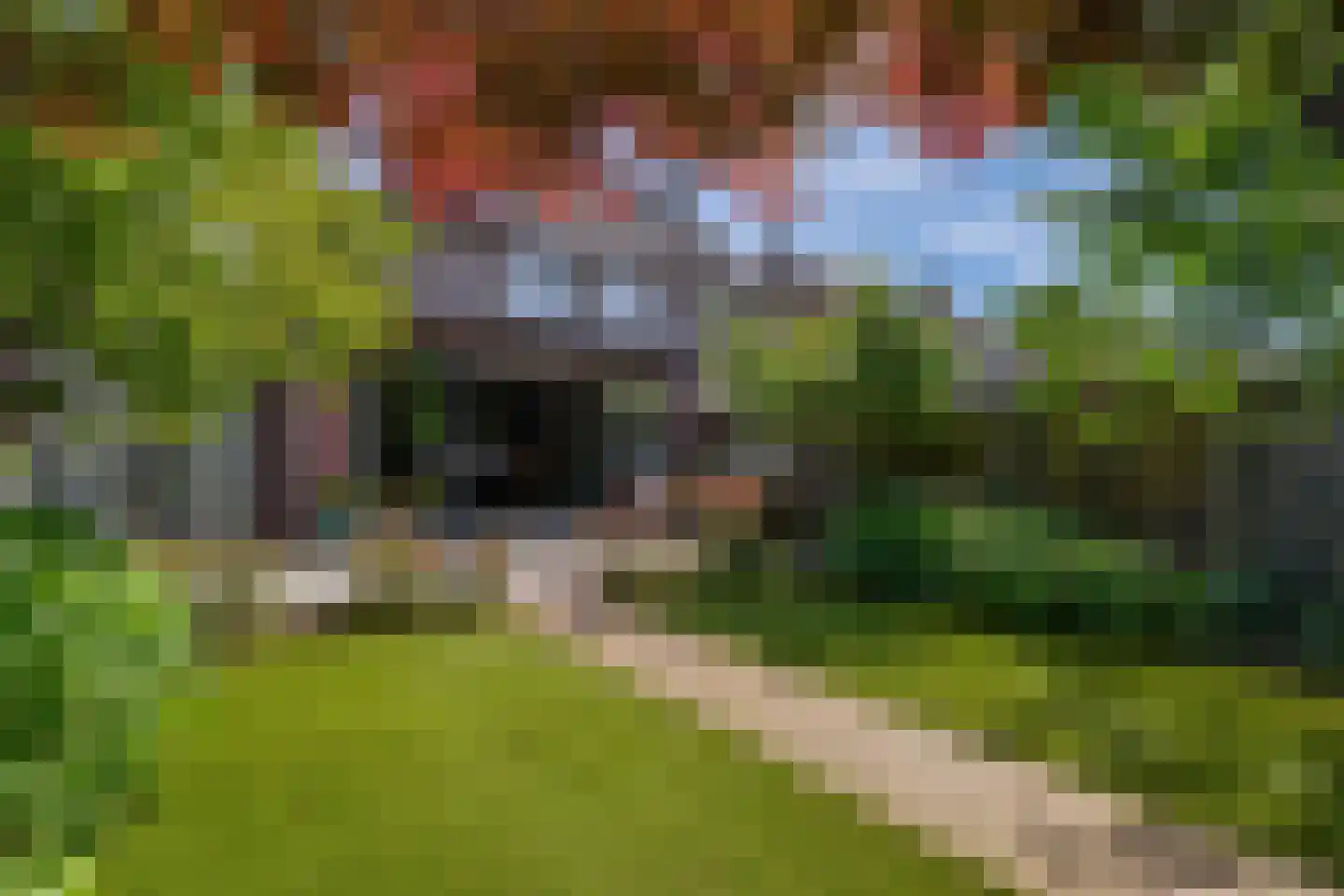 Maasstraat 36 Eindhoven thumbnail 37