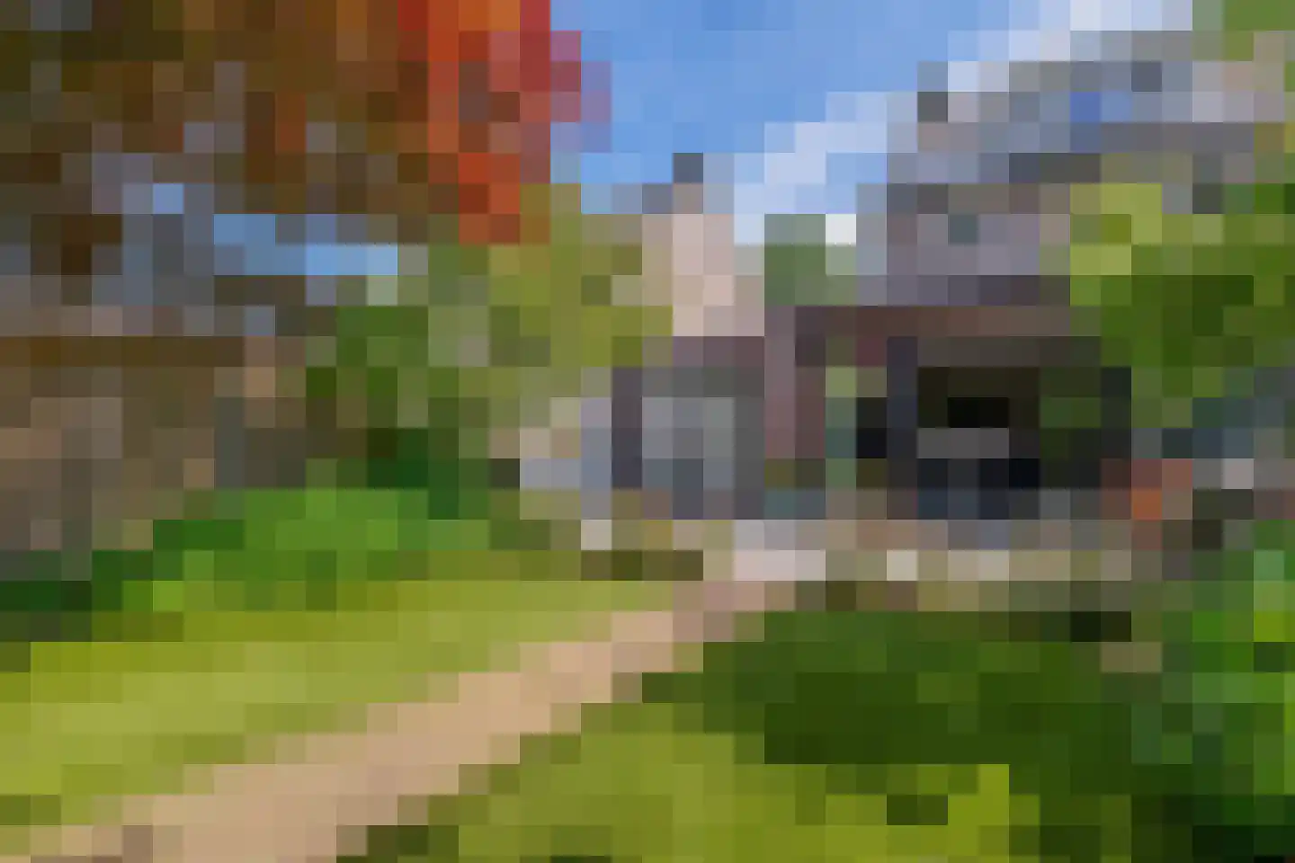 Maasstraat 36 Eindhoven thumbnail 38