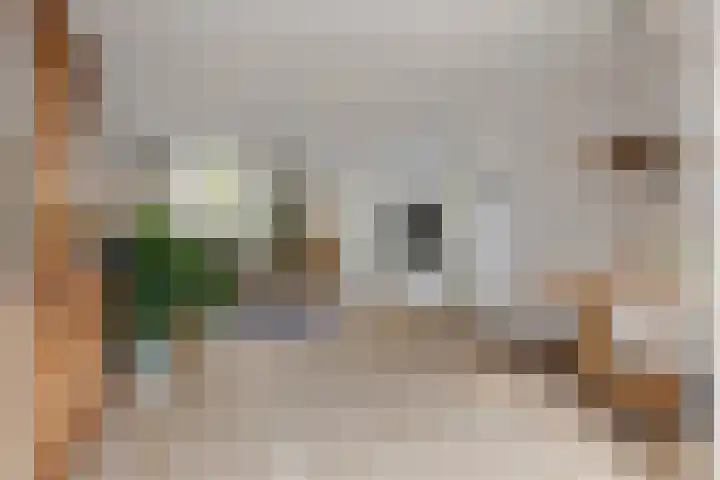 Maasstraat 37 Enspijk thumbnail 10