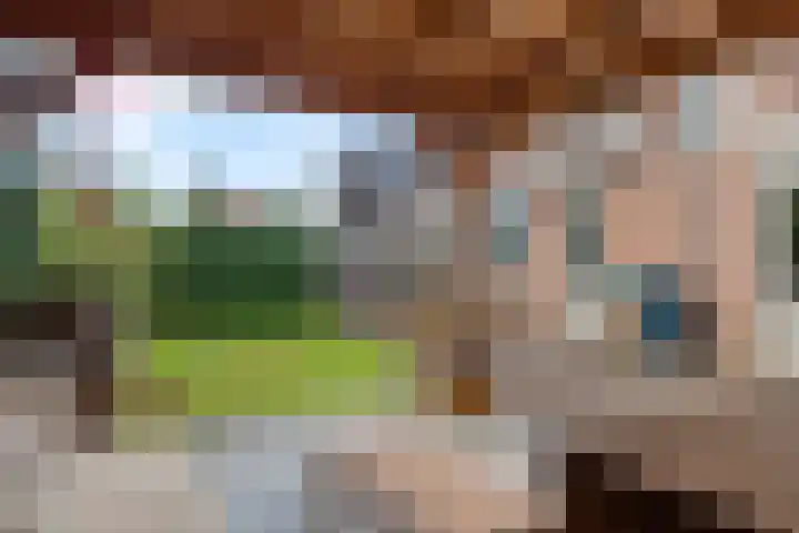 Maasstraat 37 Enspijk thumbnail 29