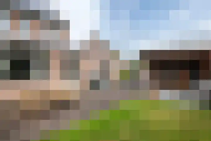 Maasstraat 37 Enspijk thumbnail 31