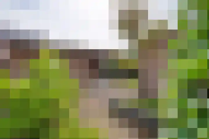 Maasstraat 37 Enspijk thumbnail 34