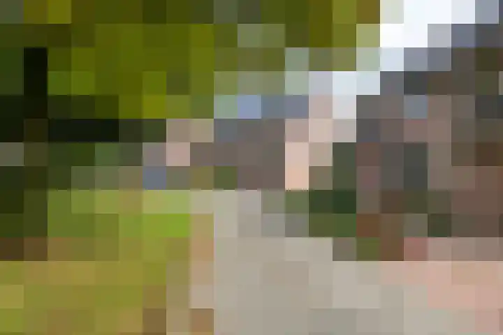Maasstraat 37 Enspijk thumbnail 36