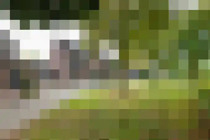 Maasstraat 37 Enspijk thumbnail 37