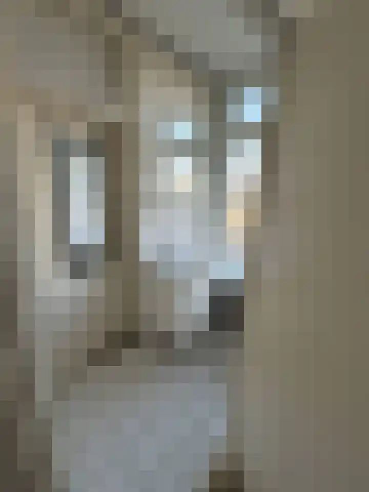Maasstraat 380 Deventer thumbnail 11