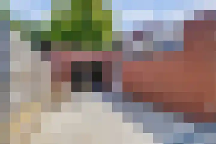 Maasstraat 4 Arcen thumbnail 25