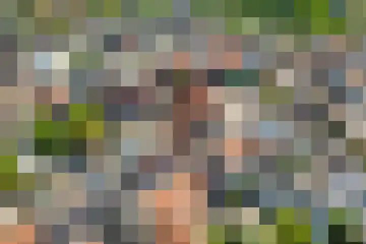 Maasstraat 4 Arcen thumbnail 38