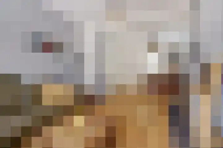 Maasstraat 4 Arcen thumbnail 9