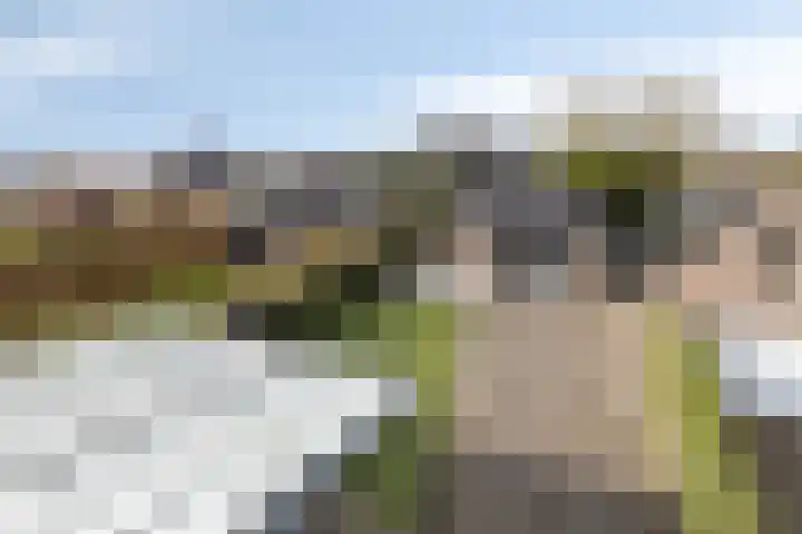 Maasstraat 4 b Sambeek thumbnail 62