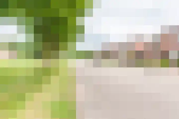 Maasstraat 40 Ulft thumbnail 39