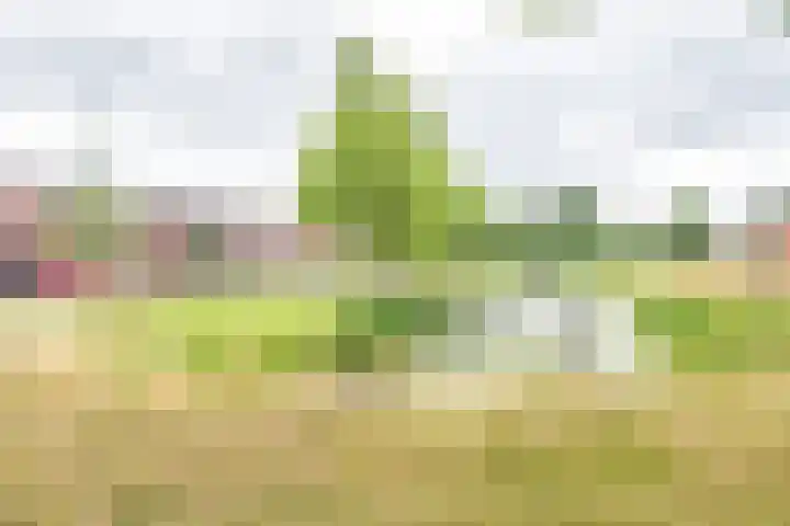 Maasstraat 40 Ulft thumbnail 40