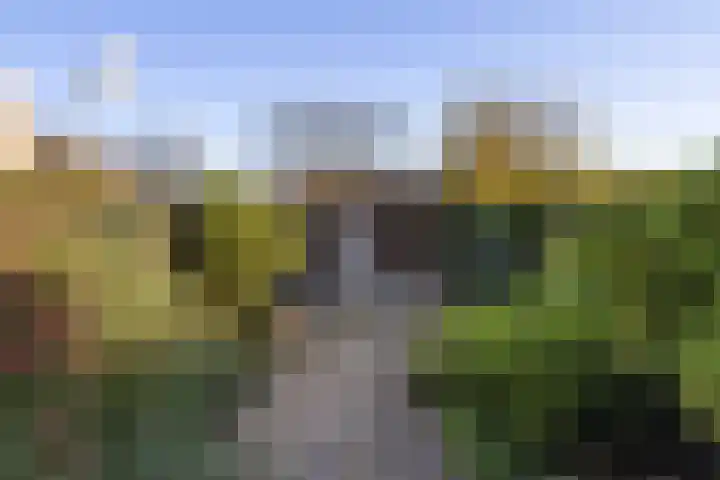 Maasstraat 41 Rozenburg thumbnail 22