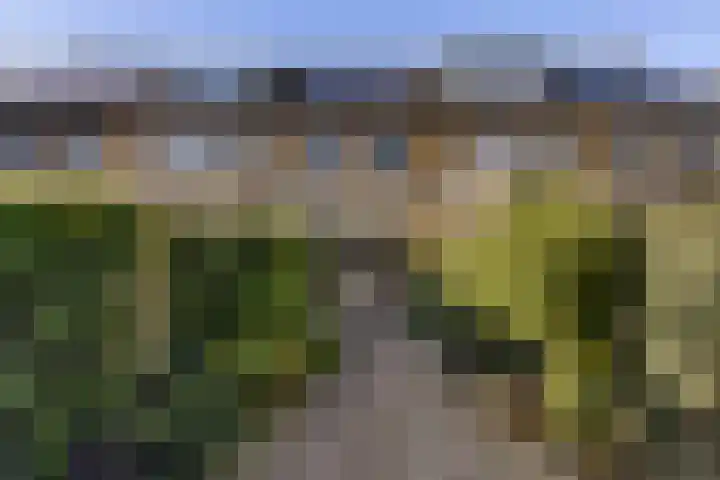 Maasstraat 41 Rozenburg thumbnail 25