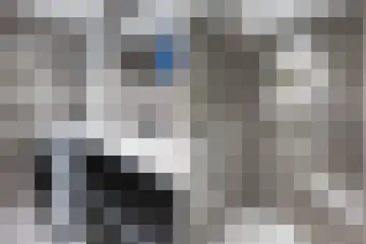 Maasstraat 41 Rozenburg thumbnail 33