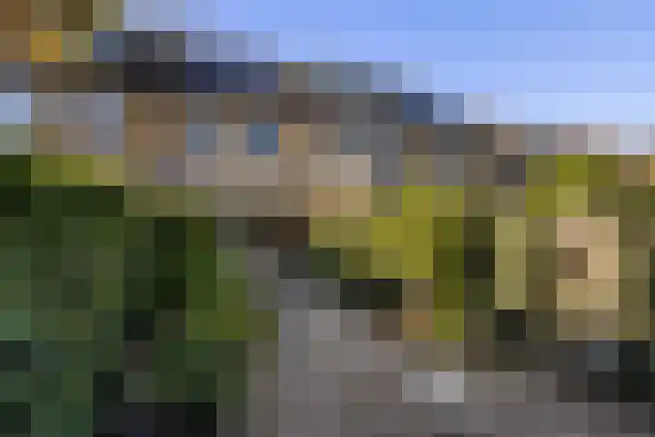 Maasstraat 41 Rozenburg thumbnail 4