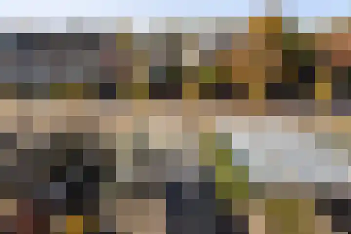 Maasstraat 41 Rozenburg thumbnail 42