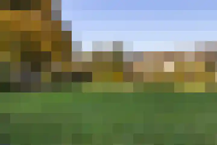 Maasstraat 41 Rozenburg thumbnail 43