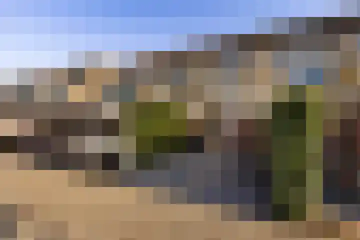 Maasstraat 41 Rozenburg thumbnail 45