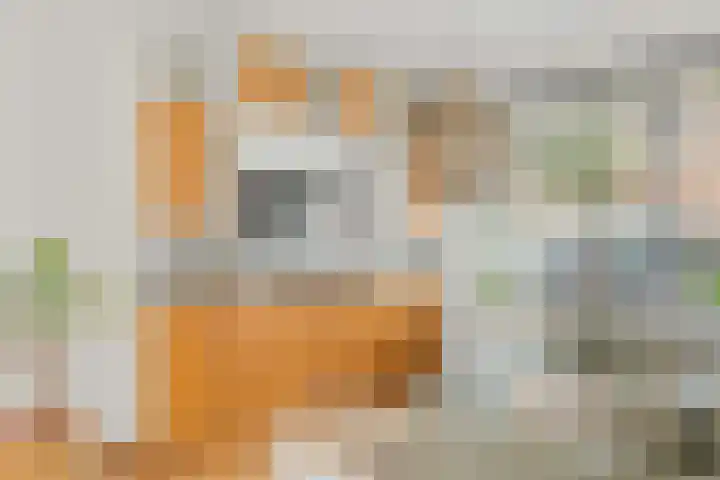 Maasstraat 46 Haarlem thumbnail 8