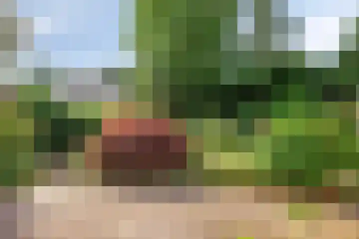 Maasstraat 5 Assen thumbnail 21