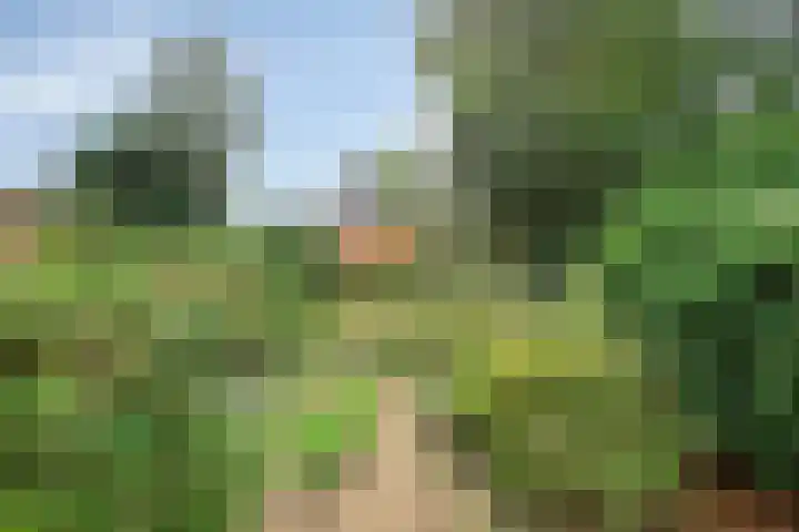 Maasstraat 5 Assen thumbnail 22