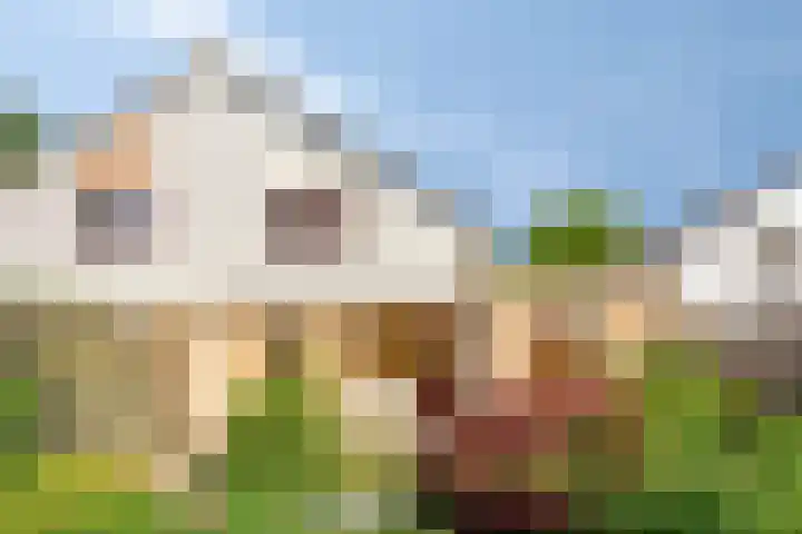 Maasstraat 5 Assen thumbnail 24